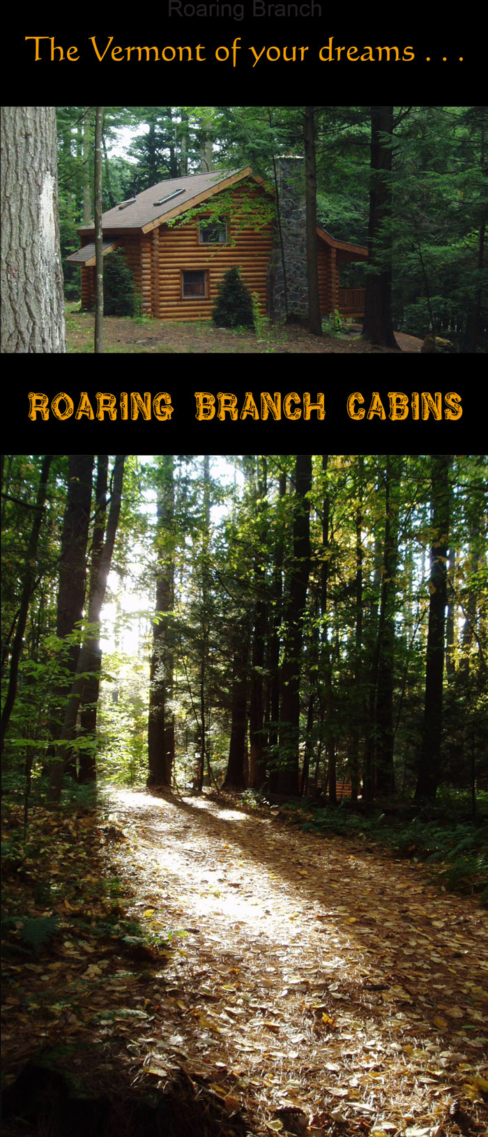Roaring Branch Cabins